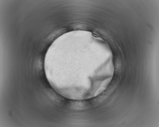 X0000113260282200910081346