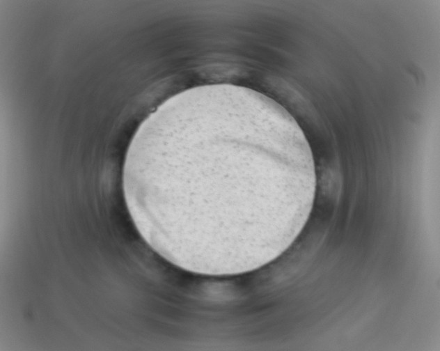 X0000113260283200910081346