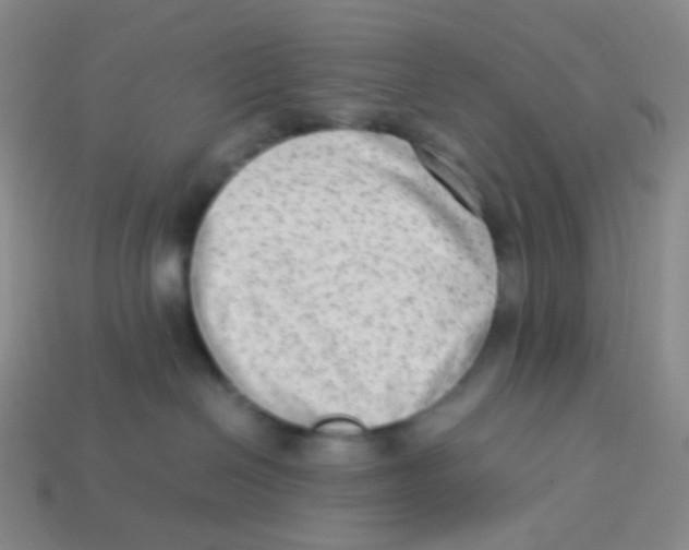 X0000113260286200910081346