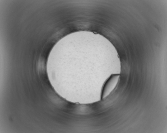 X0000113260287200910081346