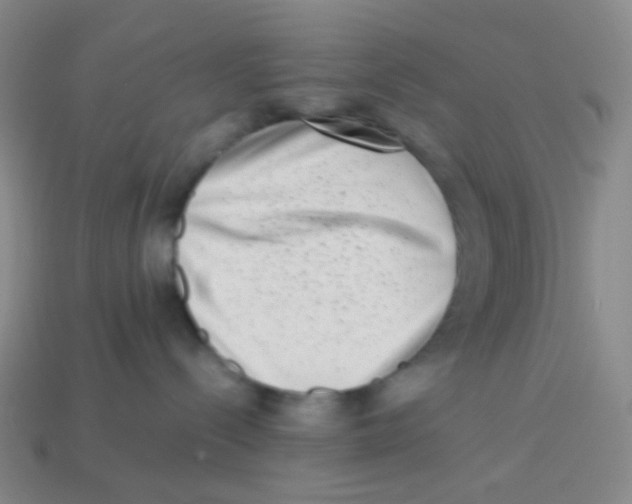 X0000113260288200910081346