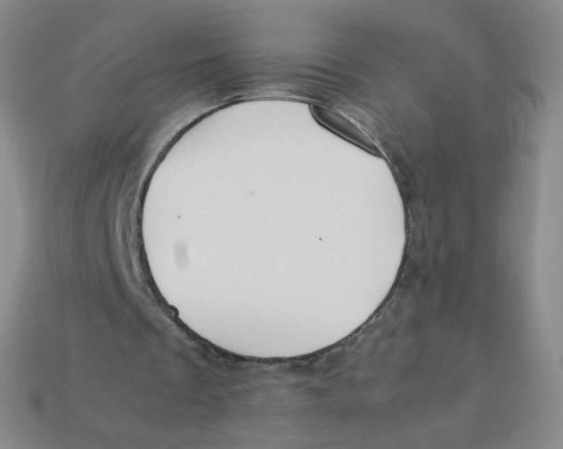 X0000113260289200910081345