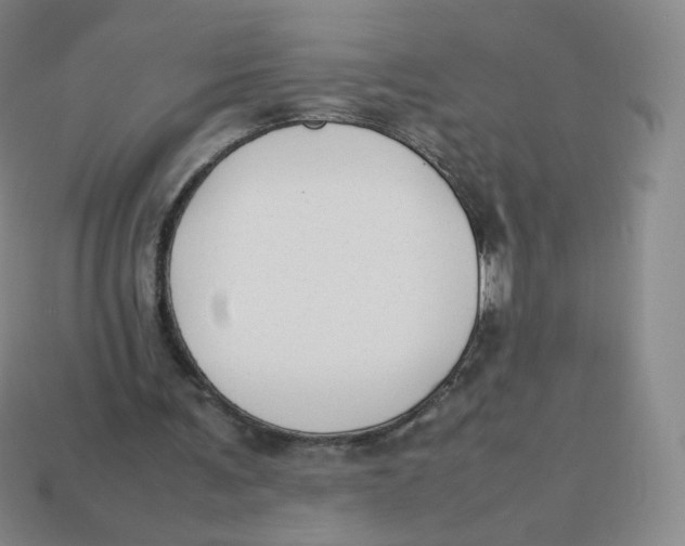 X0000113260291200910081345