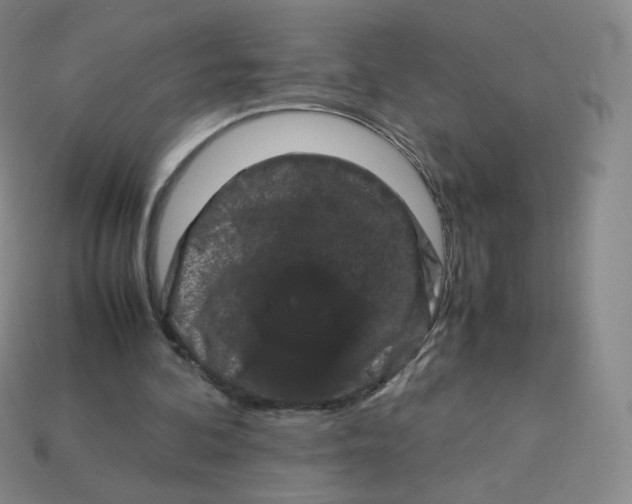 X0000113260292200910081345