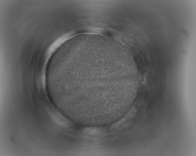 X0000113260294200910081345