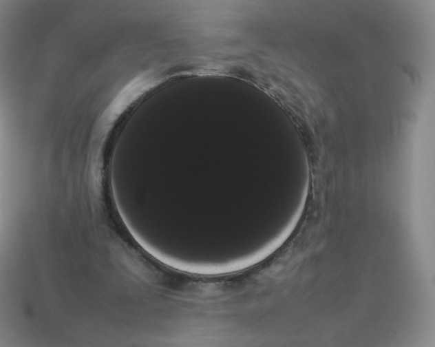 X0000113260295200910081345