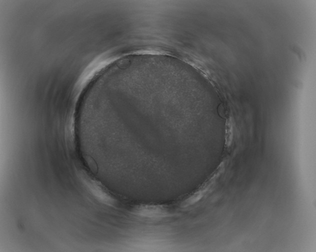 X0000113260296200910081345