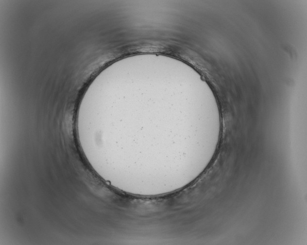 X0000113260297200910081345