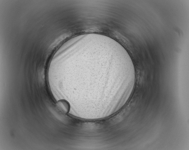 X0000113260298200910081345