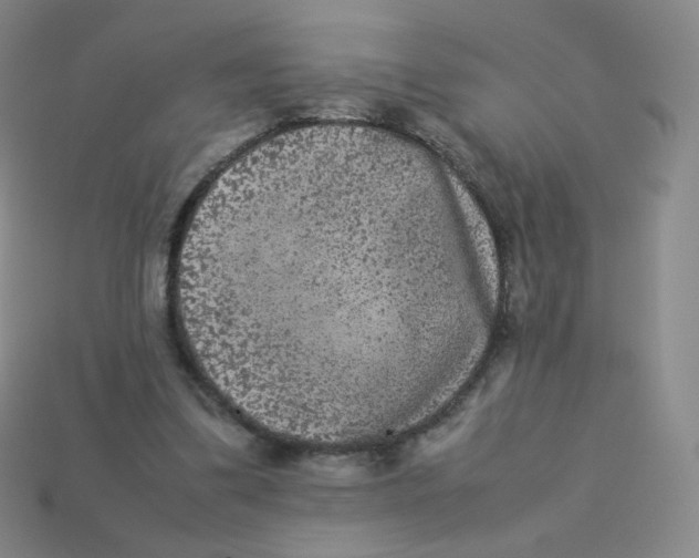 X0000113260299200910081345