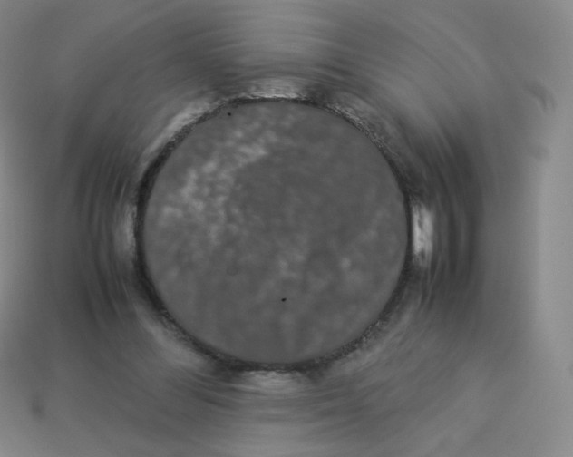 X0000113260300200910081345