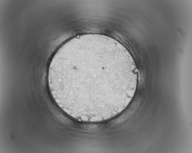X0000113260301200910081345