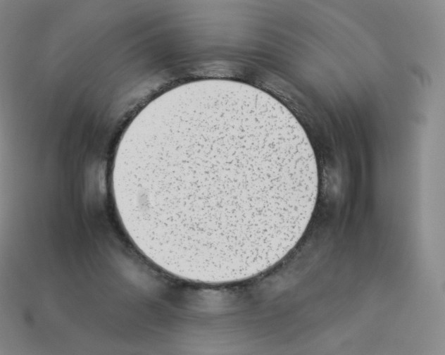 X0000113260302200910081345