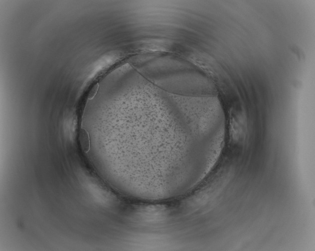 X0000113260304200910081345