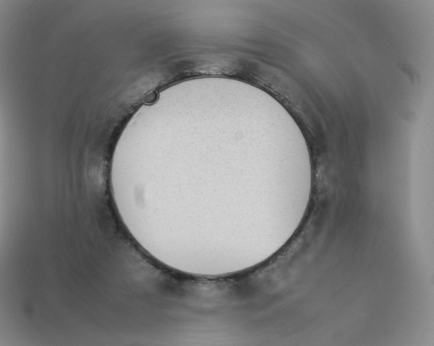 X0000113260305200910081345
