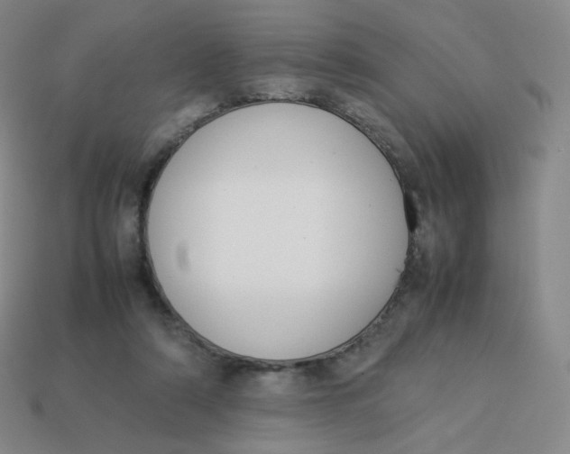 X0000113260306200910081345