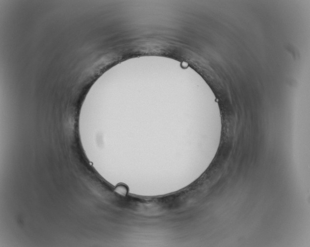 X0000113260309200910081345