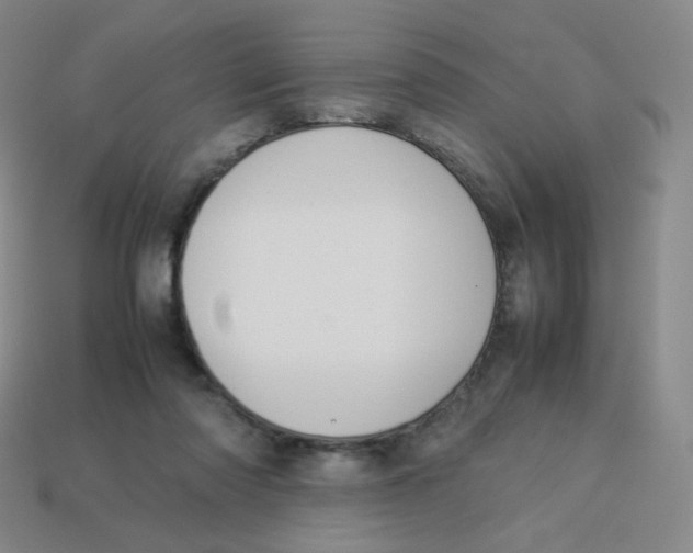 X0000113260310200910081345