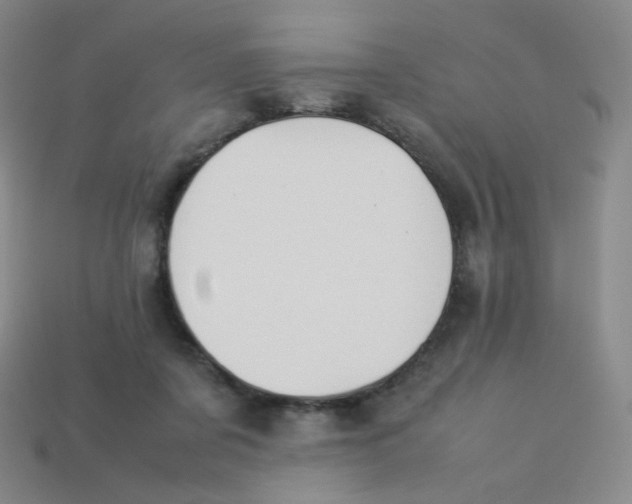 X0000113260311200910081345