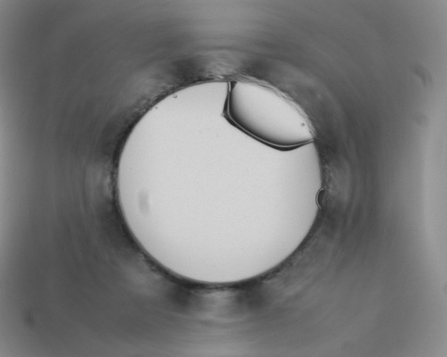 X0000113260313200910081345