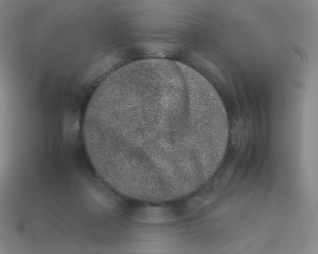 X0000113260314200910081345