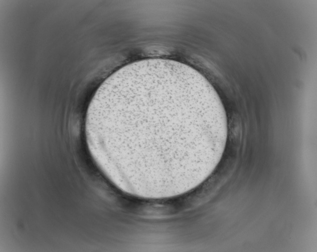 X0000113260315200910081345