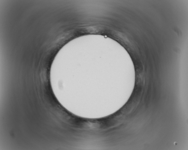 X0000113260317200910081345