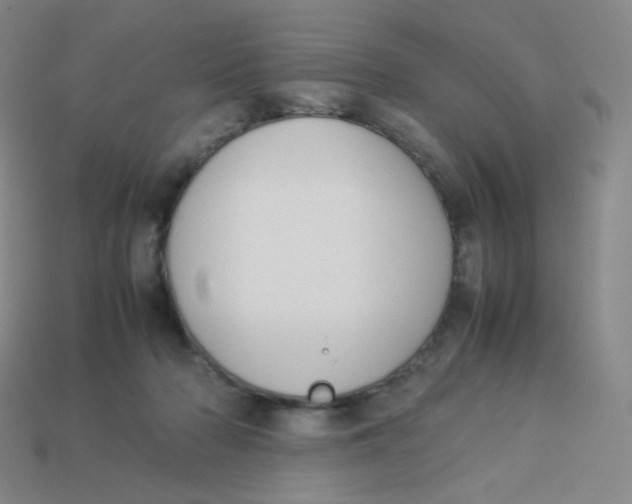 X0000113260318200910081345