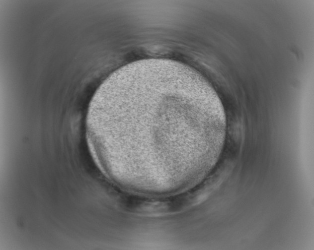 X0000113260319200910081345