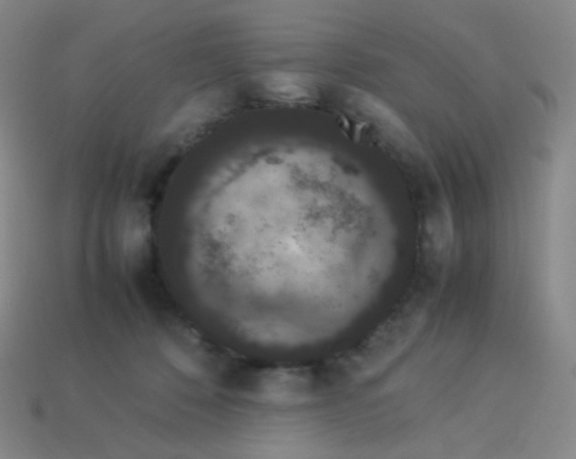 X0000113260320200910081345