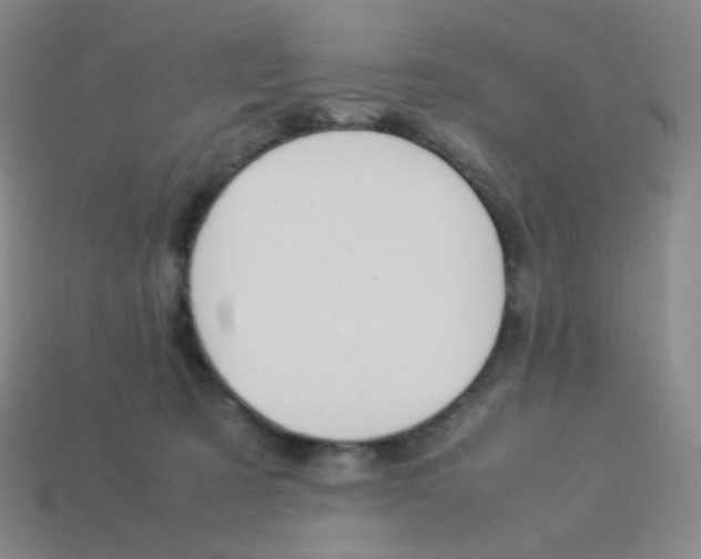 X0000113260321200910081345