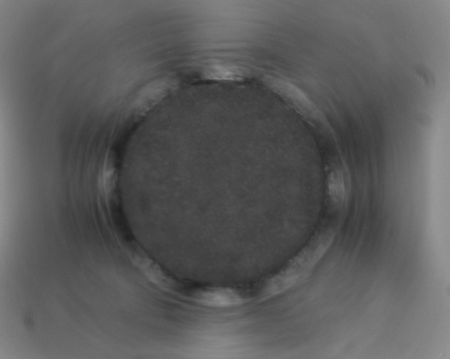 X0000113260322200910081345