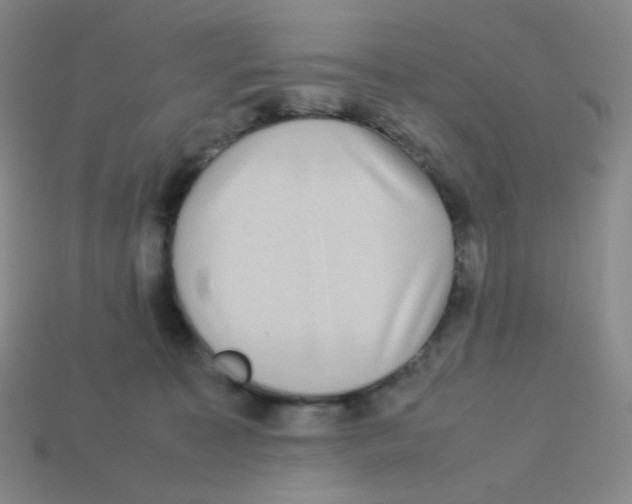 X0000113260323200910081345