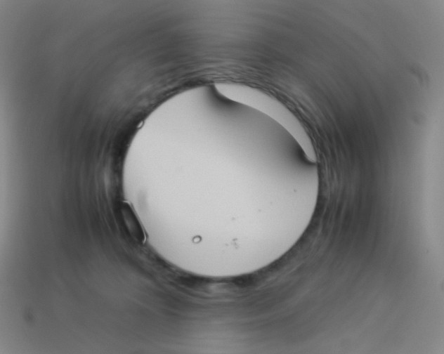 X0000113260324200910081345