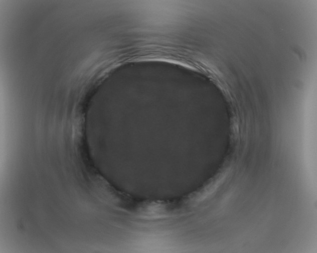 X0000113260325200910081344