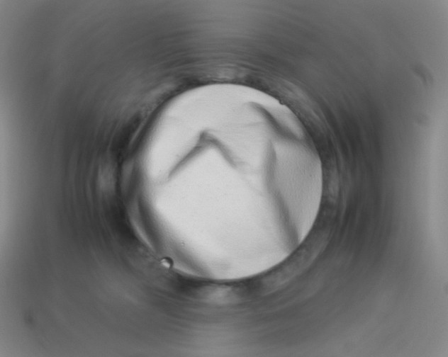 X0000113260326200910081344
