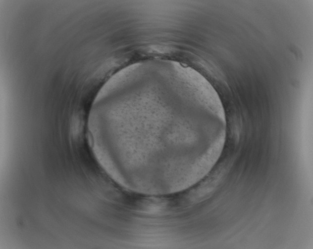 X0000113260328200910081344