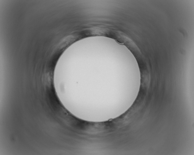 X0000113260329200910081344