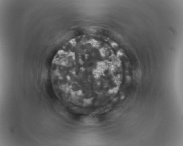 X0000113260331200910081344