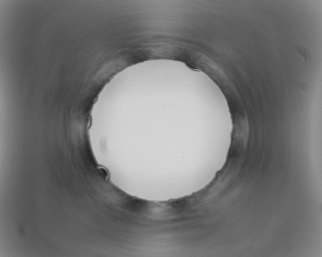 X0000113260333200910081344