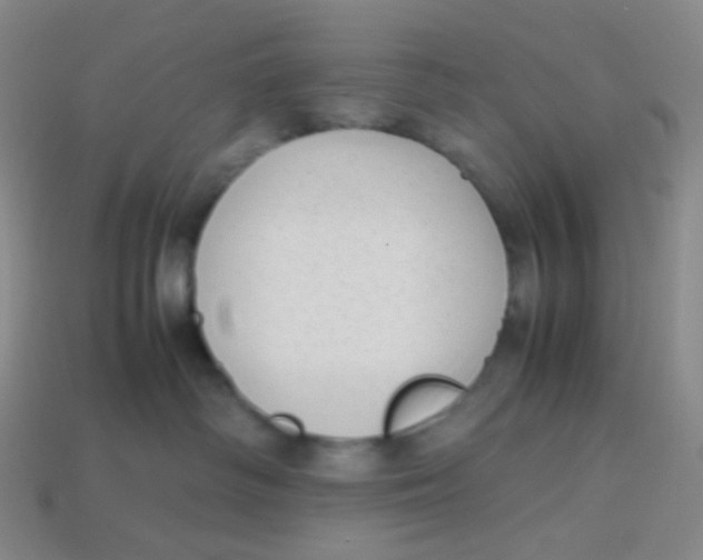 X0000113260334200910081344