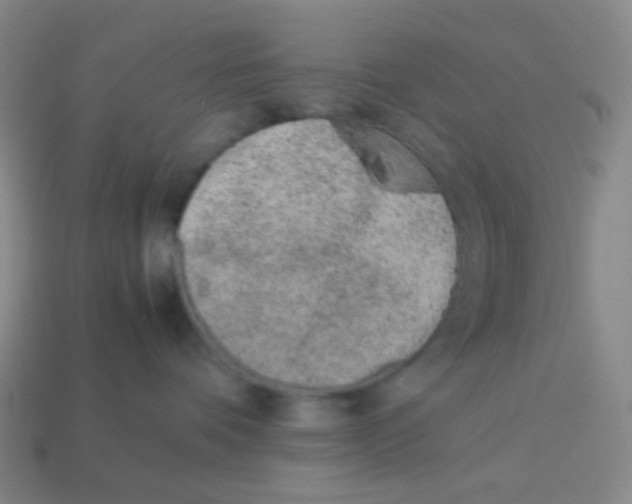 X0000113260336200910081344