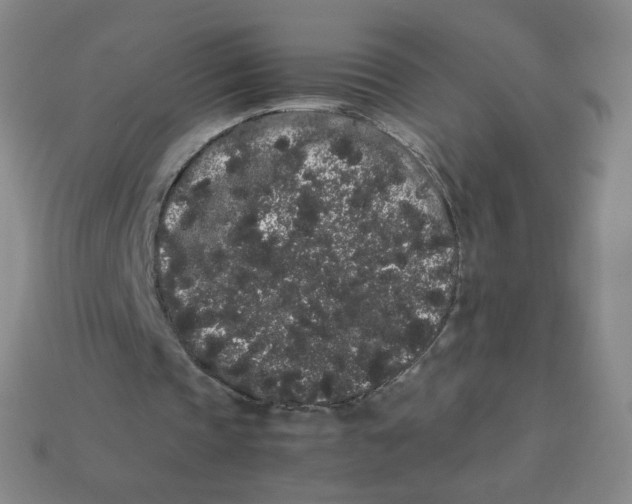 X0000113260337200910081344