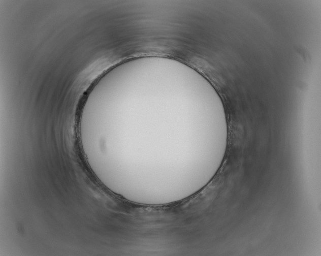 X0000113260338200910081344