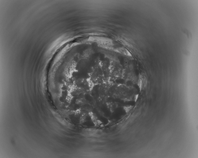 X0000113260339200910081344