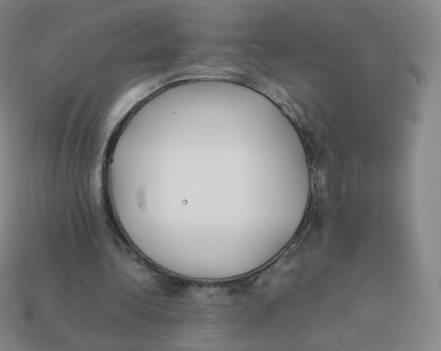 X0000113260340200910081344