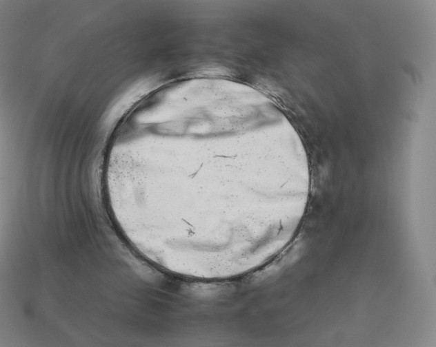X0000113260341200910081344