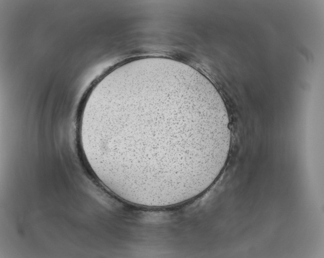 X0000113260342200910081344