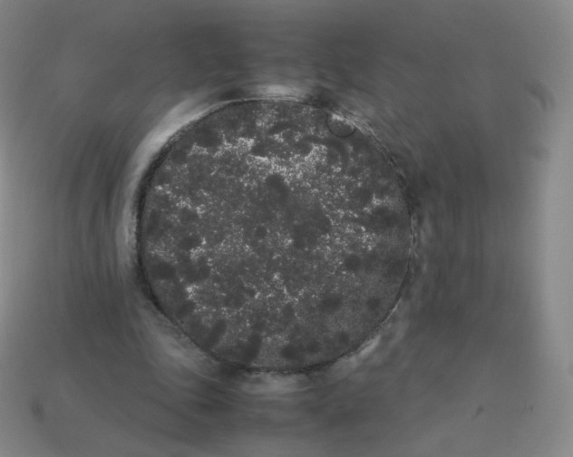 X0000113260343200910081344