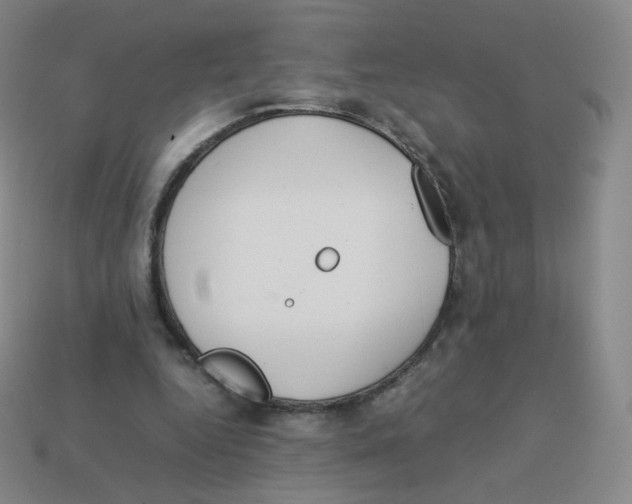 X0000113260344200910081344
